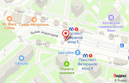Кофейня like кофе-бар на проспекте Ветеранов на карте
