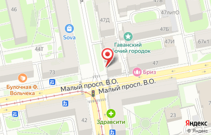 Филиал # 7 на Гаванской улице на карте