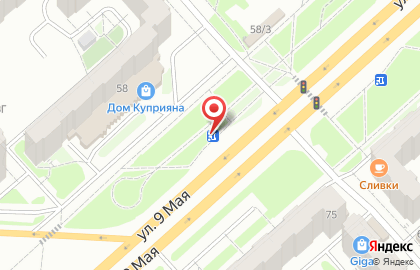 Магазин цветов в Красноярске на карте