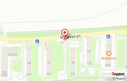 Продуктовый магазин на Ягодной улице на карте