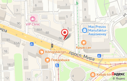 Ветеринарная аптека Доктор ЗОО в Центральном районе на карте