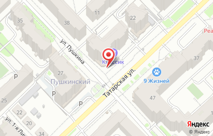 Магазин у дома Бристоль на улице Пушкина на карте