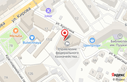 Управление Федерального казначейства по Воронежской области на улице Куцыгина на карте