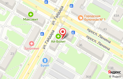 Айболит на проспекте Ленина на карте