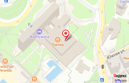 ТоёХара на Курортном проспекте на карте