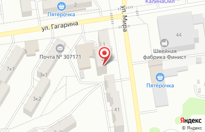 Магазин алкогольных напитков Александрия, сеть магазинов алкогольных напитков на улице Гагарина на карте