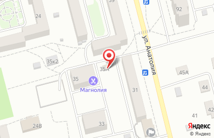 Фирменный магазин молочной продукции Молочные продукты Алтая на улице Анатолия на карте