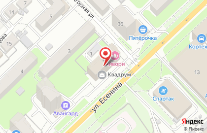 Компания Новый Стиль на улице Есенина на карте