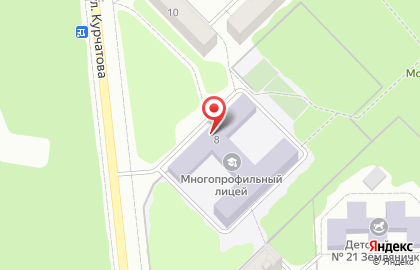 Многопрофильный лицей на улице Курчатова на карте