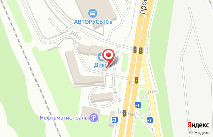 Магазин фастфудной продукции на проспекте Юных Ленинцев на карте