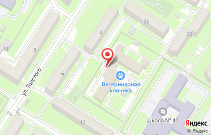 Академия детства на улице Толстого на карте