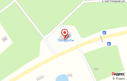 Продуктовый магазин на Счастливой улице на карте