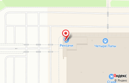 Центр сервисных услуг Рензачи на проспекте Ленина, 34 на карте