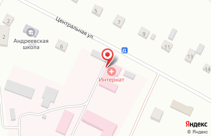 Пушкинский дом-интернат на Центральной улице на карте