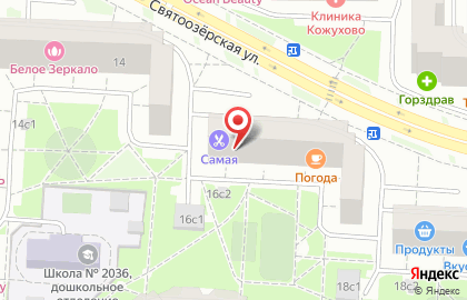 Зоомагазин Котопес на Лермонтовском проспекте на карте