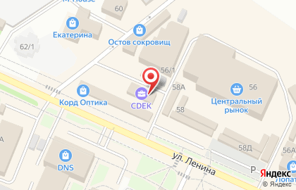 Зоомагазин на ул. Ленина, 58в на карте