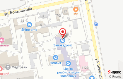 Сеть зоомагазинов Заповедник на улице Белинского на карте