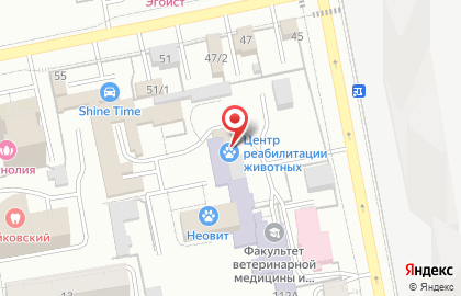 Груминг-салон для домашних животных ЗооМодник на карте