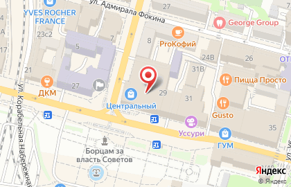 Магазин техники М.Видео на Светланской улице на карте