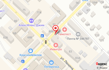 Социальная аптека единая сеть аптек на улице Ленина, 81 на карте
