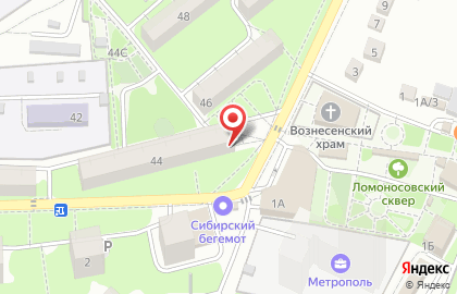 Аптека Здоровый Город в Воронеже на карте