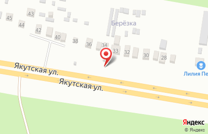 Магазин рассады и цветов на карте