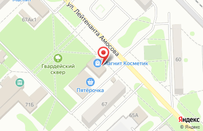 Магазин хозяйственных и автотоваров Перекрёсток на улице Лейтенанта Амосова на карте