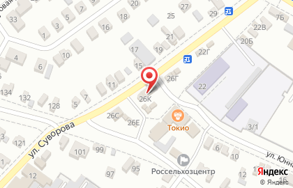 Мясной магазин 33 Курицы на улице Суворова на карте