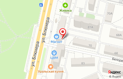 Зоомагазин, ИП Щелчкова О.В. на карте