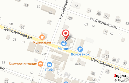 Супермаркет Магнит на Центральной улице на карте