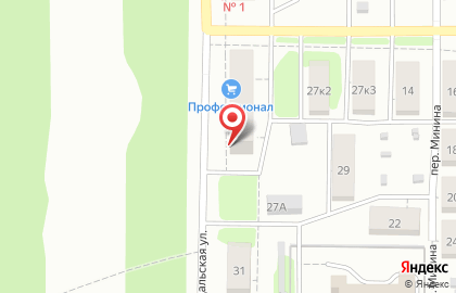 Торгово-сервисная сеть Профессионал на Суздальской улице на карте