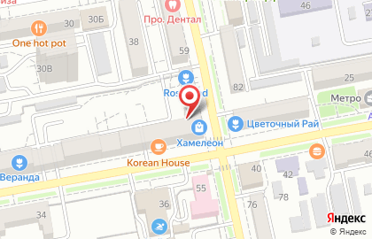 Салон оптики Хамелеон на улице Пушкина на карте