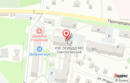 Участковый пункт полиции №1 Межмуниципальный отдел МВД России Светлогорский на карте