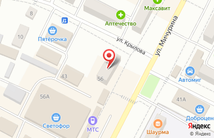 Магазин мясной продукции Звениговский на улице Мичурина на карте