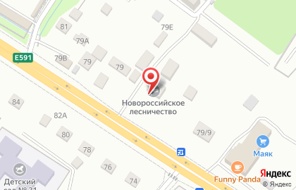 Новороссийское лесничество на карте