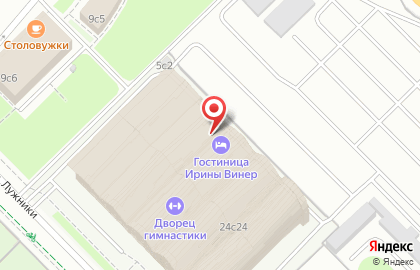 Отель Дворец гимнастики Ирины Винер-Усмановой на карте