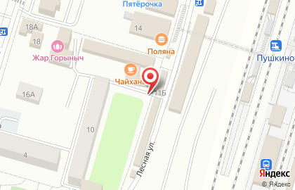 Магазин фастфудной продукции на Лесной на карте