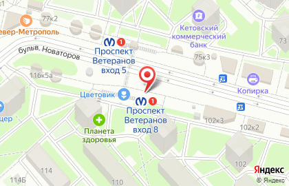 Магазин печатной продукции Первая полоса на проспекте Ветеранов на карте