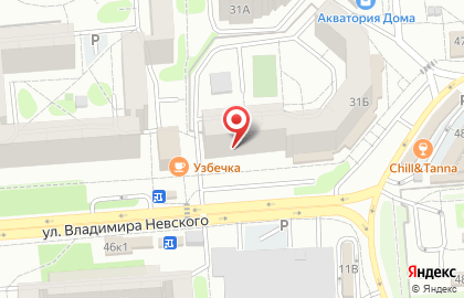 Магазин Риокса на улице Владимира Невского на карте