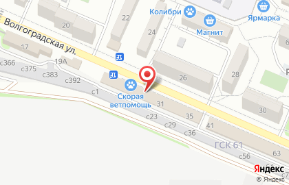 Милый пес на карте