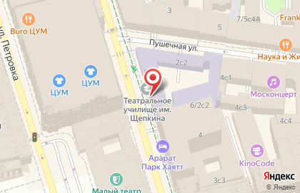 Российский институт театрального искусства на Неглинной улице на карте