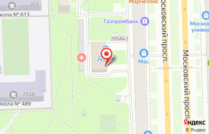 Магазин стройхозтоваров на Московском проспекте на карте