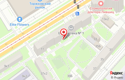 Автосервис Автомастер на Торжковской улице на карте