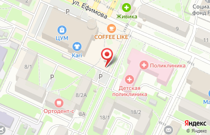 Кафе быстрого питания Дядя Дёнер на улице Ефимова на карте