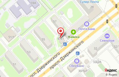 Магазин зоотоваров, ИП Соловьева Е.Н. на карте
