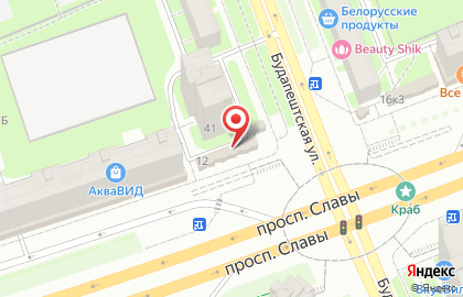 Сервисный центр Expert-Center на Будапештской улице на карте