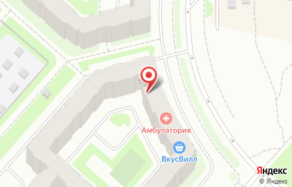 Магазин косметики и бытовой химии Магнит Косметик в Пушкинском районе на карте