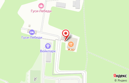 Банный курорт Гуси-Лебеди на карте