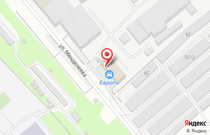 Автомобильный магазин Европа на улице Менделеева на карте