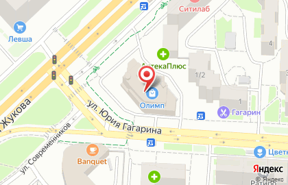 Ларес на улице Юрия Гагарина на карте
